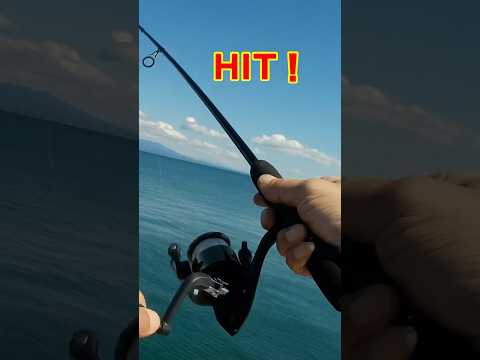 【100均釣り具】ダイソー胴突き仕掛け エサ釣り #100均釣り具