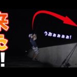 【離島生活】小魚をぐるぐる巻きにして釣りしたら大本命きた！！！！