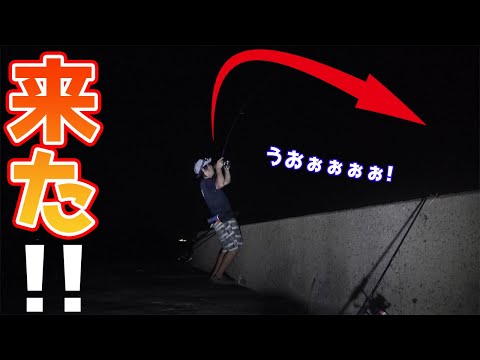 【離島生活】小魚をぐるぐる巻きにして釣りしたら大本命きた！！！！