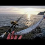 最大時価10万円！？希少すぎて大高騰中の幻高級魚を求めて離島の夜ブッコミ釣り