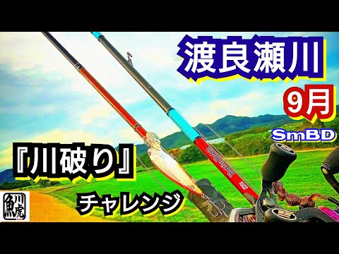 yasu 渡良瀬川『川破りチャレンジ』川バス釣り【スモールマウスバス】2023年9月 Small mouth Bass Fishing