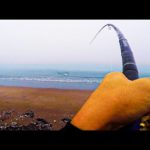 北海道のサーフに突如現れた大物。渾身の一撃！竿が大曲がり...