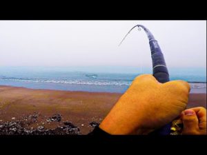 北海道のサーフに突如現れた大物。渾身の一撃！竿が大曲がり...