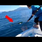 ボートでエサ釣りに来たら突如１２０センチ級の怪物出現！