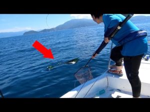 ボートでエサ釣りに来たら突如１２０センチ級の怪物出現！