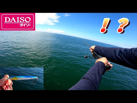 DAISOジグをナブラに投げ込んだら凄いことに・・・【ショアジギング】