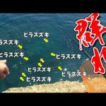 もうダメだと思っていたら…