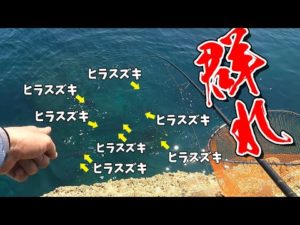 もうダメだと思っていたら…