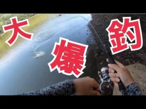 【バス釣り】サイドキックをインプレしたら…【レイドジャパン】【グラディエーターアンチ】【バスロッド】【RAIDJAPAN】