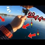 【LSJ】連日激混みの港で釣りさせてもらったらヤバかったです・・・