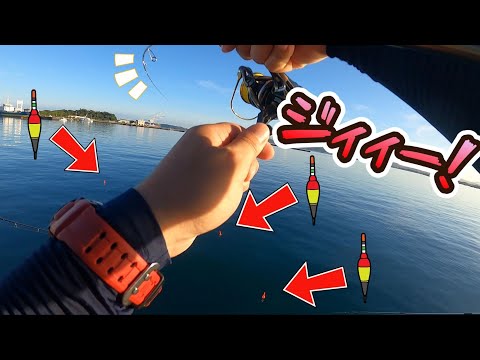 【LSJ】連日激混みの港で釣りさせてもらったらヤバかったです・・・