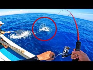 カツオとかいう大物を釣ってしまった…