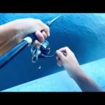 朝まずめに高級魚連発した。