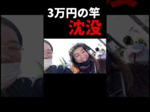 マジで危なかった #ショート #おすすめ #釣り #バス釣り #fish #fishing #love #bassfishing