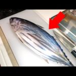 カツオの心臓、胃袋、肝、白子まで全部食べたら絶品過ぎた
