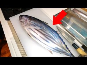 カツオの心臓、胃袋、肝、白子まで全部食べたら絶品過ぎた