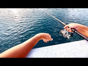 堤防から最高の刺身と南蛮漬けを釣る。