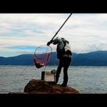 【磯釣り】瀬戸内の大物ShortVer.