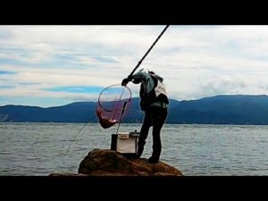【磯釣り】瀬戸内の大物ShortVer.
