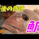 【めで鯛！VUITTON？HERMES？GUCCI？高級魚！？】第19回ふぐ名人のダーツの釣り！【第4話】
