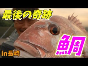 【めで鯛！VUITTON？HERMES？GUCCI？高級魚！？】第19回ふぐ名人のダーツの釣り！【第4話】