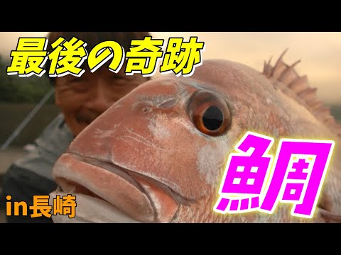 【めで鯛！VUITTON？HERMES？GUCCI？高級魚！？】第19回ふぐ名人のダーツの釣り！【第4話】
