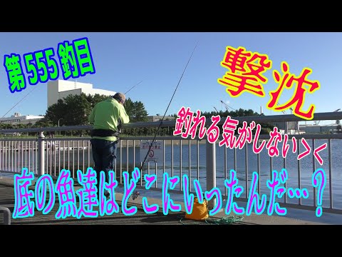 釣り動画ロマンを求めて555釣目