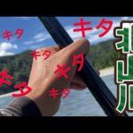 【鮎釣り】9/15 やっと釣れ出しました！！本流は支流と別格の楽しさ♪