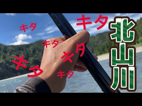 【鮎釣り】9/15 やっと釣れ出しました！！本流は支流と別格の楽しさ♪