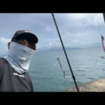 生配信で青物が釣れちゃいます！