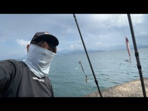 生配信で青物が釣れちゃいます！