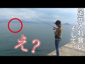 防波堤の足元で○○〇が入食い!!そして…異変が…?!