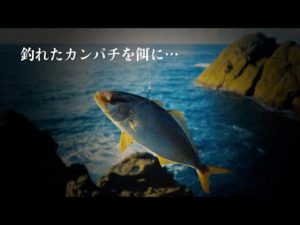 【心臓出そう。】釣れた青物を餌にしたら・・？これ食ってくるんかよ…。