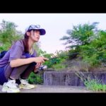 秋のバス釣りおかっぱりポイント探したら・・・