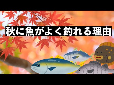 なぜ秋はよく釣れる時期なのか