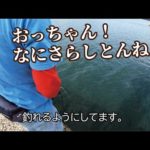 堤防で手っ取り早く活性をあげてみたら驚きの入れ食い状態になった