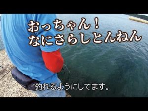 堤防で手っ取り早く活性をあげてみたら驚きの入れ食い状態になった