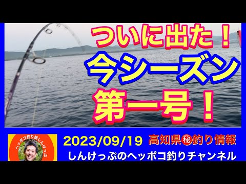 【高知県㊙️釣り情報】ついに！今シーズン第一号！事件はフォール中に！