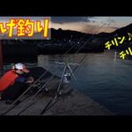 【投げ釣り】日中は熱いので夜に大物を狙ってみた！