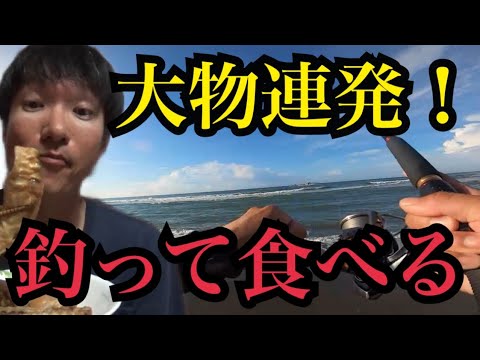 久しぶりに遠州灘サーフでルアー釣りしたら…