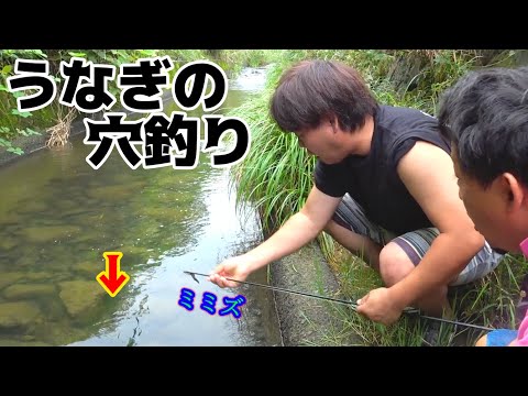 棒の先にミミズをつけて穴に入れてみた！