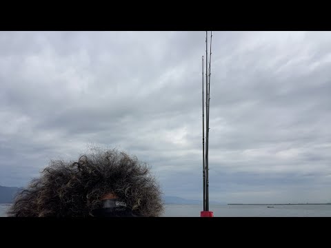 琵琶湖バス釣りライブR5-9/26