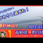 【高知県㊙️釣り情報】神回か？釣れまくったのはやっぱりこの堤防！