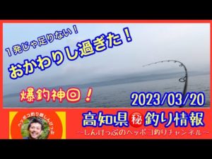 【高知県㊙️釣り情報】神回か?釣れまくったのはやっぱりこの堤防!
