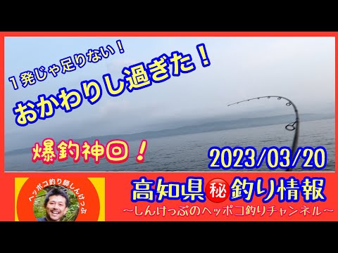 【高知県㊙️釣り情報】神回か?釣れまくったのはやっぱりこの堤防!