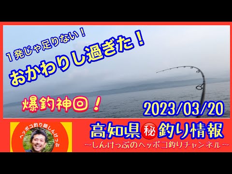 【高知県㊙️釣り情報】神回か？釣れまくったのはやっぱりこの堤防！