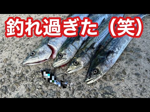 【釣れすぎて困ります】このルアーが最強！入れ食い過ぎて笑いが止まりませんでした【ショアジギング】