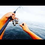 テトラ帯から怪物釣れた。