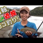GO!GO!九ちゃんフィッシング #546　「両軸近投カゴ釣りで狙うイサキ！ ウキ下13メートルが大正解？」