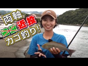 GO!GO!九ちゃんフィッシング #546　「両軸近投カゴ釣りで狙うイサキ！ ウキ下13メートルが大正解？」